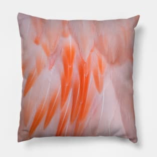 Flamingo Feathers Pillow