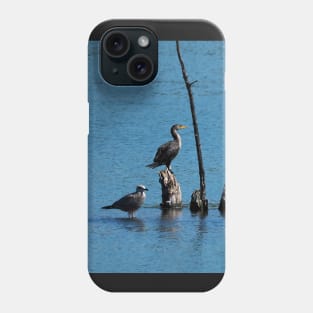 Double-crested Cormorant And Gull On A Tree Phone Case