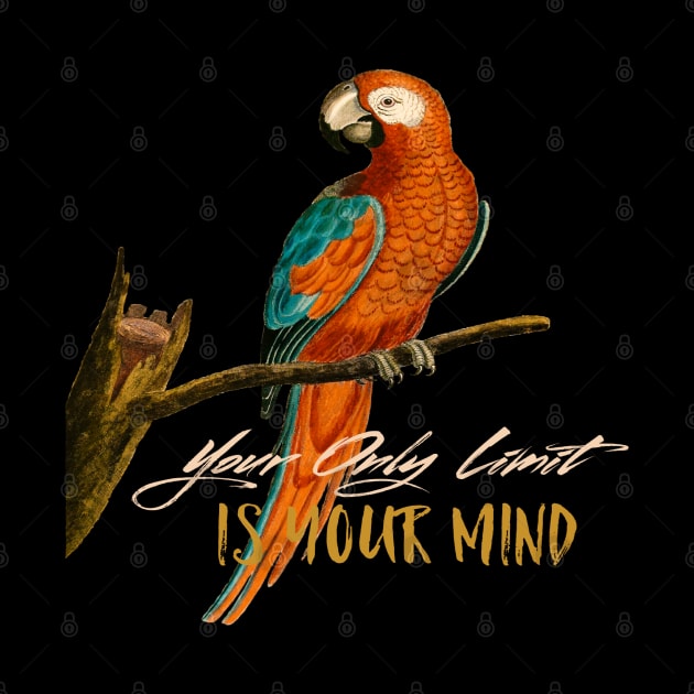 Motivational Parrot - Your Only Limit Is Your Mind - Parrot by Animal Specials