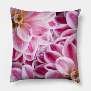 Pink Flowers, Seamless Pattern Pillow