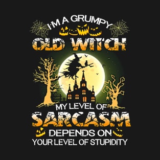 I'm a Grumpy Old WitchT Shirt Funny Halloween Gifts Shirt T-Shirt