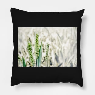 Wheat Fields Pillow