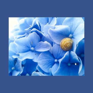 Golden Snail Blue Hydrangea T-Shirt