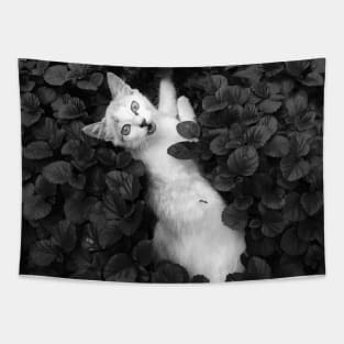 Cat Loves Catnip Tapestry