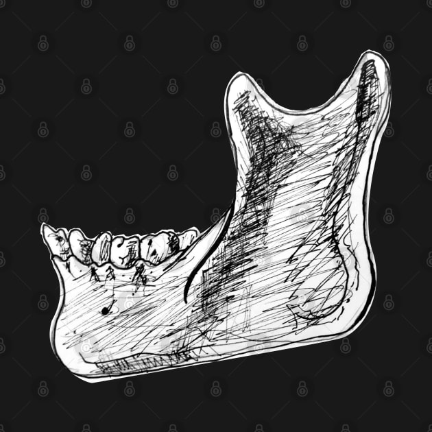 Pen and Ink Mandible Sketch by emadamsinc