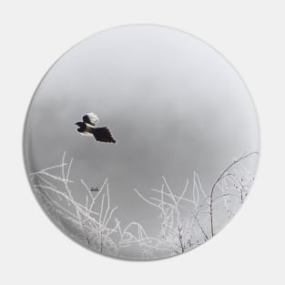 Magpie / Swiss Artwork Photography Pin