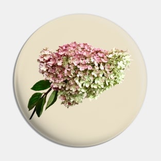 Hydrangeas - Sprig of Hydrangea Pin