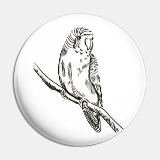 Green Parakeet Pin