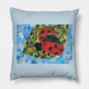 Grouchy Ladybug Pillow