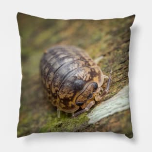 A furious looking woodlouse Pillow