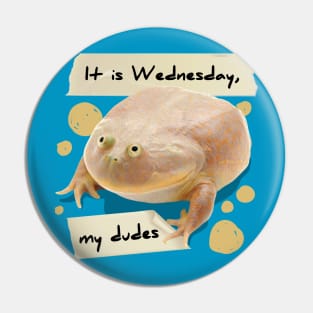 It is Wednesday my Dudes V3 Pin