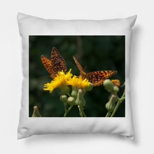 Butterflies Pillow