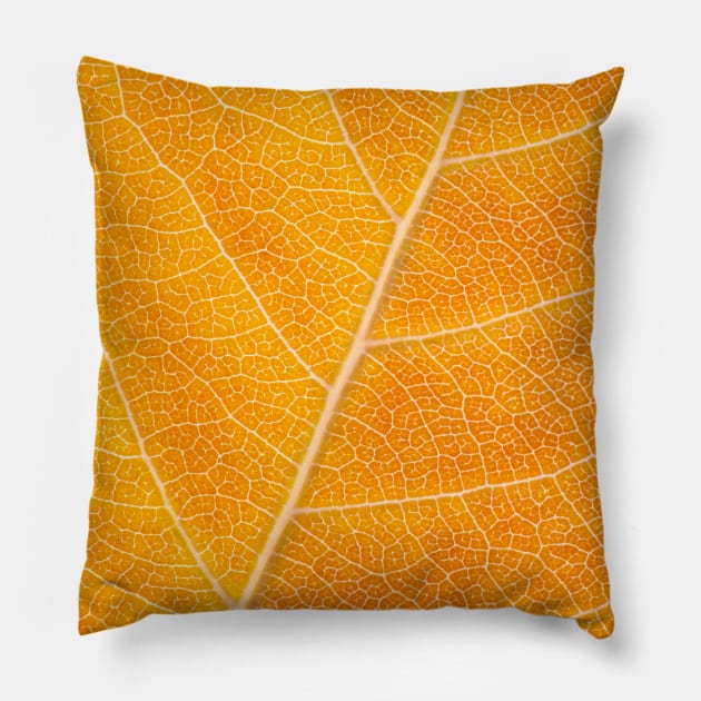 Autumn Leaf Pillow by philippemx