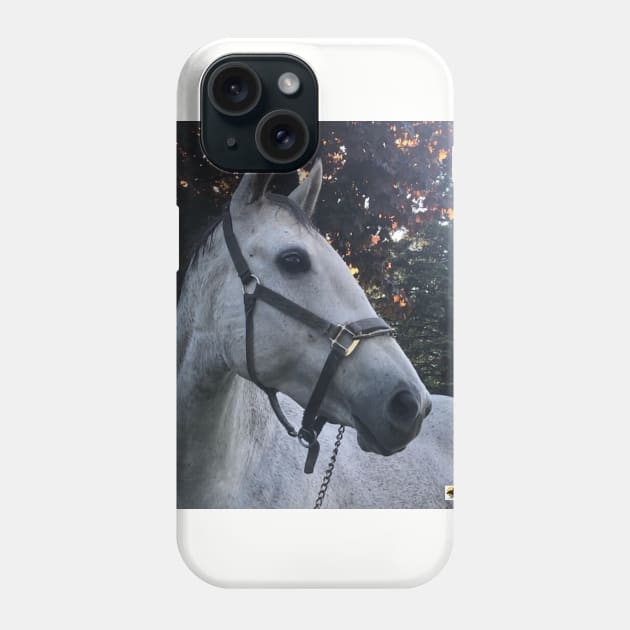 Platinum Phone Case by SunshineHorses