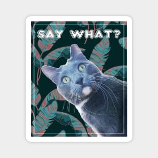 Say What? Surprised Cat Magnet