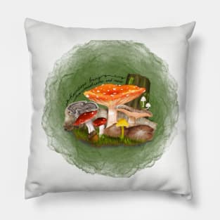 Raindrops Bring Mushrooms and Moss Pillow