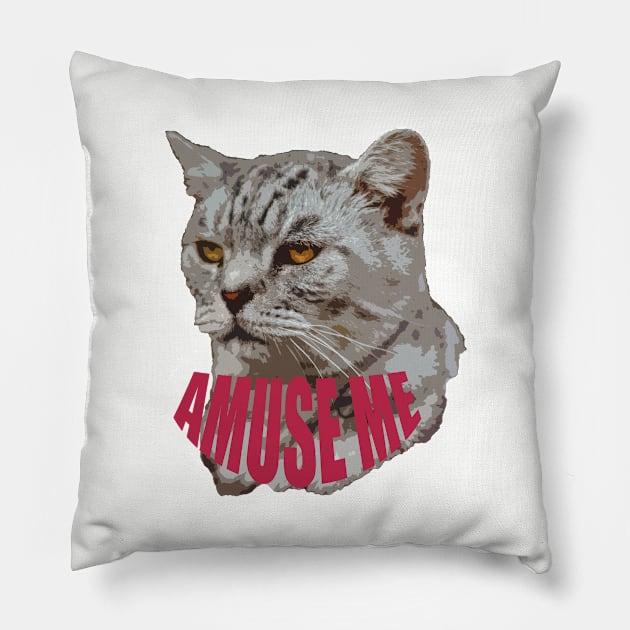 Amuse me Pillow by MFAorg