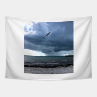 Storm and Gull, Key West Tapestry