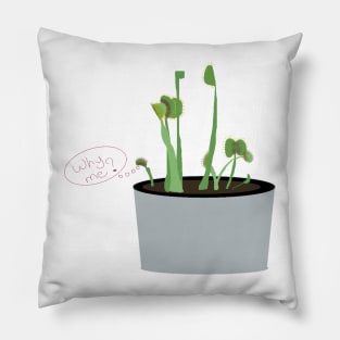 Venus Flytrap Pillow