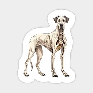 Skeleton Great Dane Dog Magnet