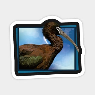 ibis Magnet