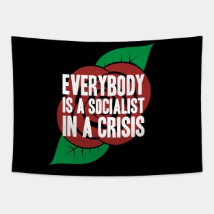 Everybody is a Socialist in a Crisis Tapestry