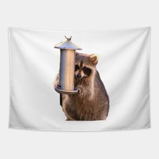 Raccoon Smiling Kawaii Tapestry