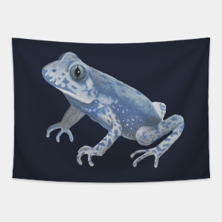 Common Midwife Toad :: Reptiles and Amphibians Tapestry