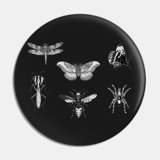 Insect Bug Collection With Honeybee, Tarantula, Mantis, Moth, Dragonfly Pin