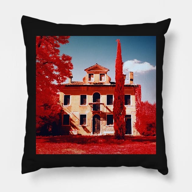 Torcello in Aerochrome Pillow by basementgalaxy