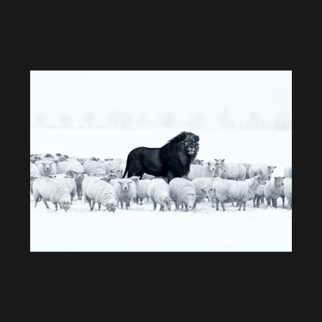 Lion among sheep by nogar007