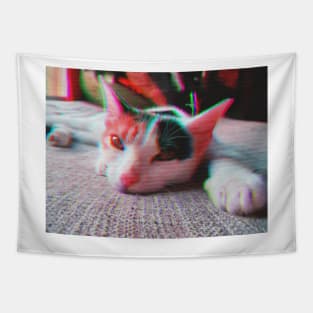 Aesthetic Cat Tapestry