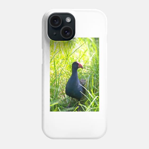 Swamp Hen Phone Case by GP1746