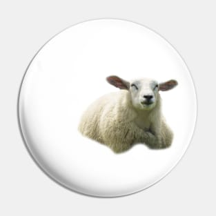 sweet sheep Pin