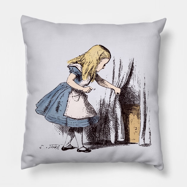 Alice and the Little Door Pillow by MandyE