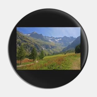 Vanoise National Park Pin