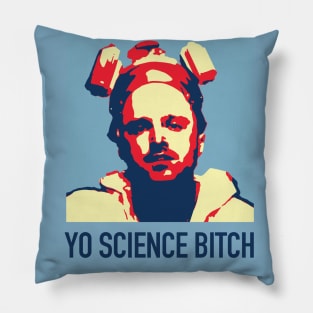 Yo Science Pillow