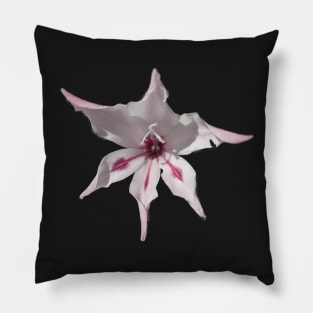 Gladioli Blushing Bride Pillow