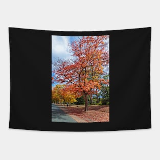 Autumnal Colours Tapestry