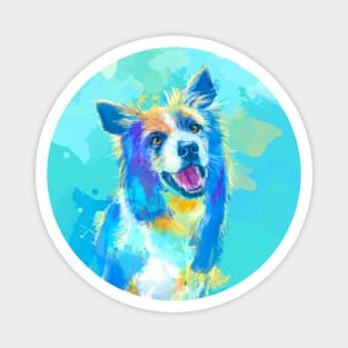 Border Collie Dog Portrait Magnet