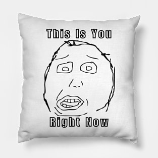 Meme Herp This Is You Right Now Pillow