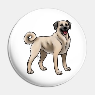 Dog - Anatolian Shepherd Kangal Shepherd Dog - Dun Pin