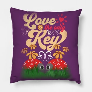 Ladybugs - Love The Only Key - Spring Floral Love Design Pillow