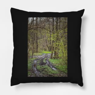 Hiking trail in the forest Pillow