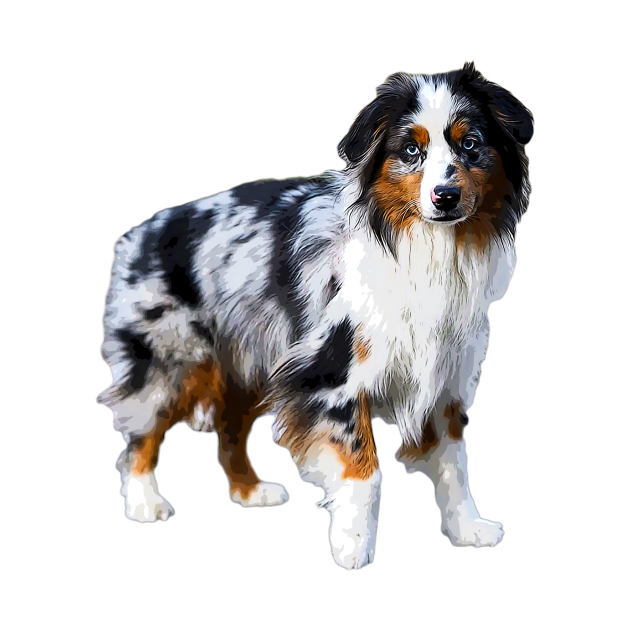 Australian Shepherd Merle Puppy Dog Australian Shepherd Tapestry TeePublic