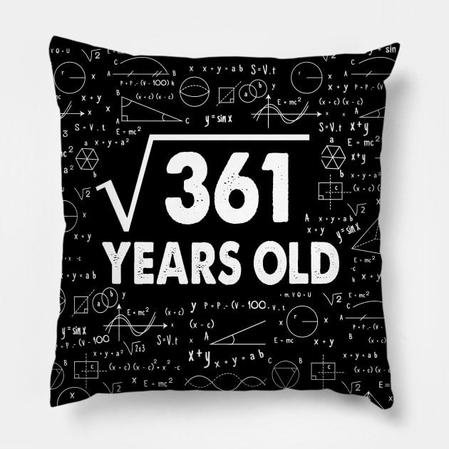 19 years old 19th birthday Gift Square Root of 361 Science Lover Gifts Bday Pillow by smtworld