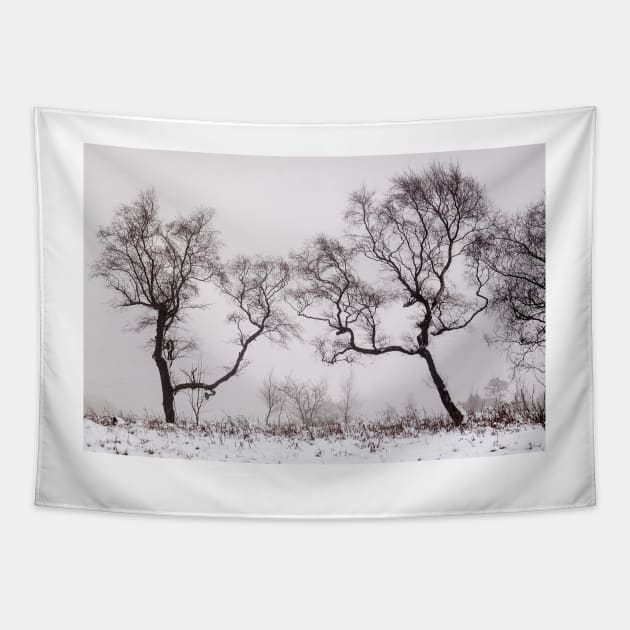Stark winter woodland Tapestry by geoffshoults