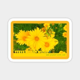 Coreopsis Flower Power Magnet