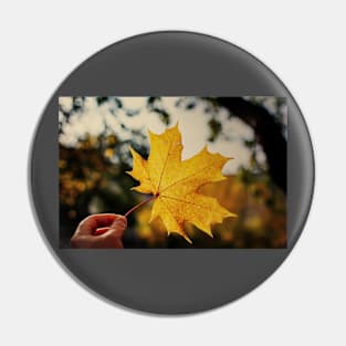 Hand holding golden yellow maple leaf Pin
