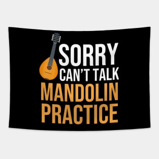 Mandolin Funny Tapestry